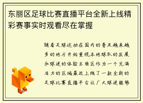 东丽区足球比赛直播平台全新上线精彩赛事实时观看尽在掌握